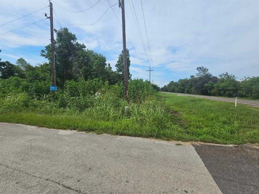 photo 3: 56 County Road 161 Road, Dayton TX 77535