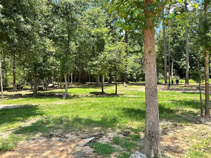 photo 23: 310 Denson Allen Rd, Coldspring TX 77331