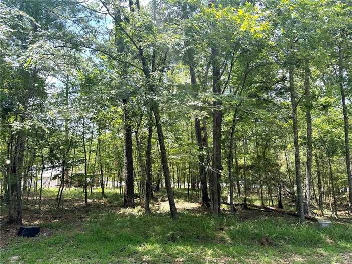 photo 2: 87 S Fairway Loop, Coldspring TX 77331