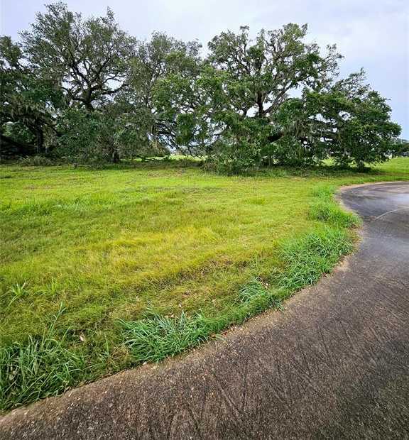 photo 1: 567 Six Gun Trail, Angleton TX 77515