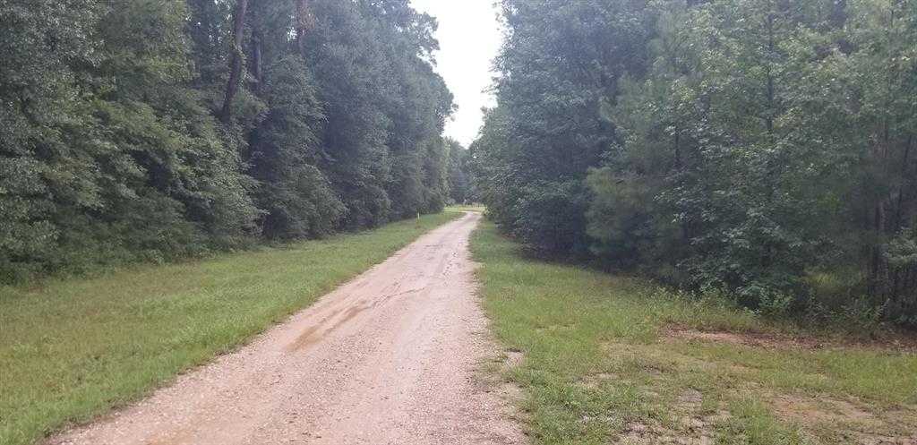 photo 2: 18221 Mail Route Road, Montgomery TX 77316