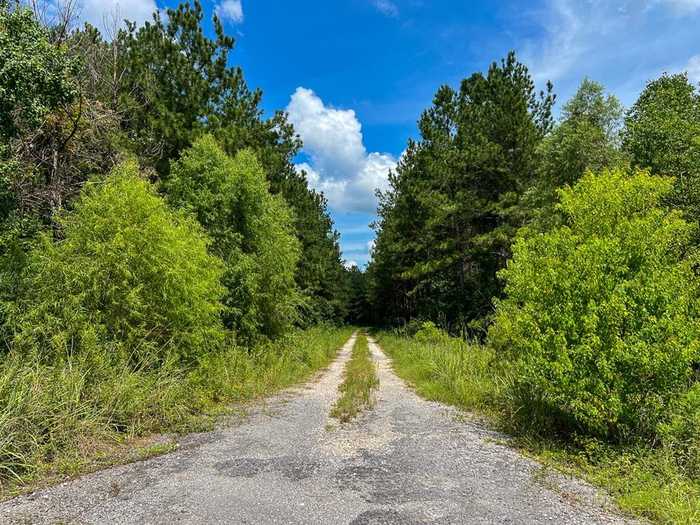 photo 2: US Highway 96, Silsbee TX 77656