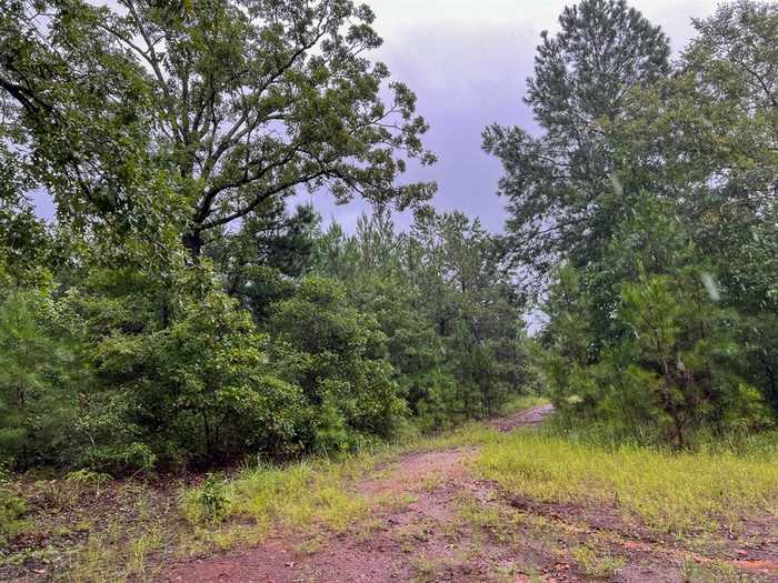 photo 2: 1 Private Road, Crockett TX 75835