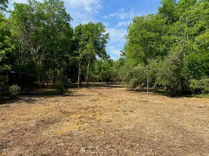 photo 7: Hidden Trail Lot 44, Chappell Hill TX 77426