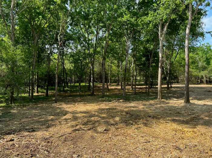 photo 2: Pecan Grove Court Lot 8, Chappell Hill TX 77426