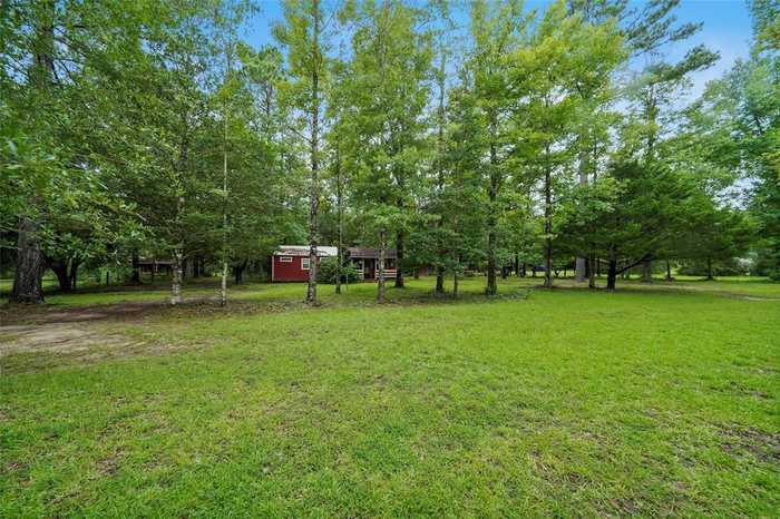 photo 1: 4891 Sunflower Road, Livingston TX 77351