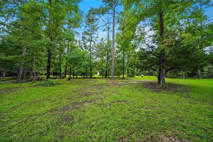 photo 2: 4891 Sunflower Road, Livingston TX 77351