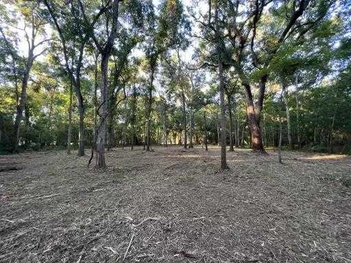 photo 2: 658 Pony Trail, Angleton TX 77515