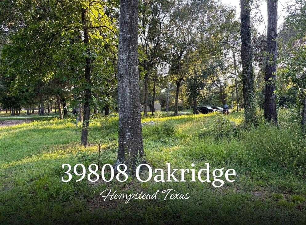 photo 1: 39808 Oakridge Road, Hempstead TX 77445