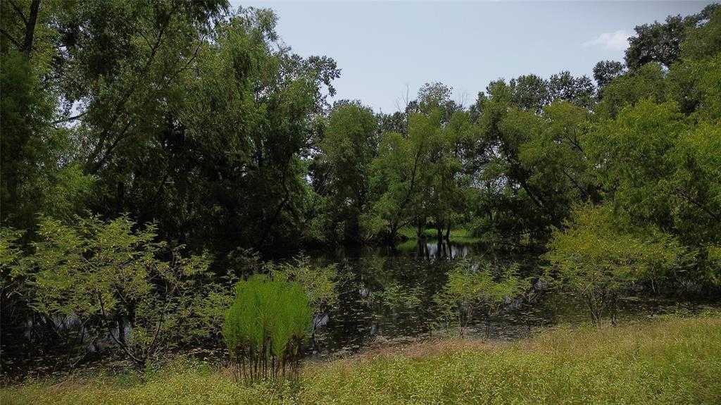 photo 3: Bailey Grove, Montgomery TX 77356