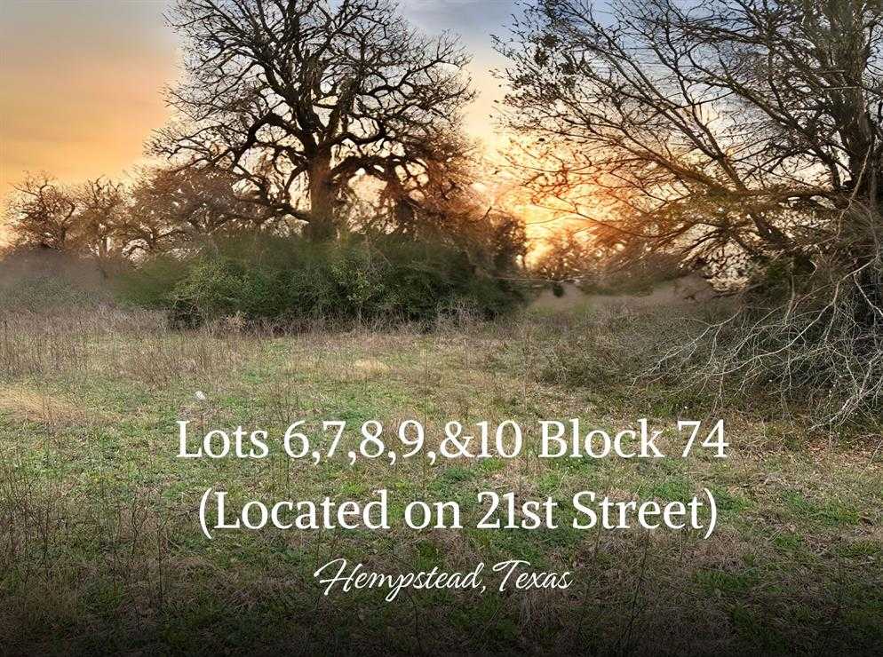 photo 1: 6 Block 74 LOCATED on 21st Street, Hempstead TX 77445