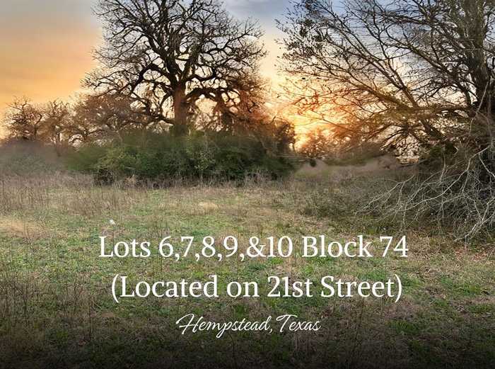 photo 1: 6 Block 74 LOCATED on 21st Street, Hempstead TX 77445