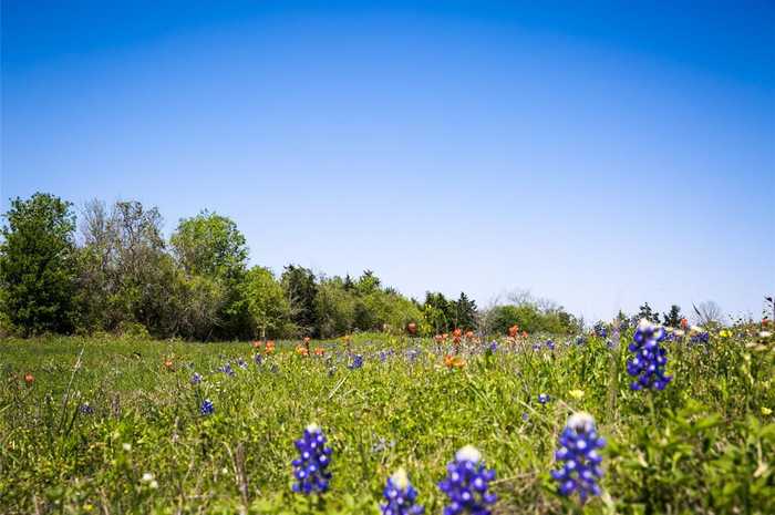 photo 1: 1 Caney Creek Road, Chappell Hill TX 77426