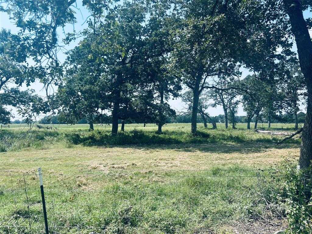 photo 1: Newsom Road, Bellville TX 77418