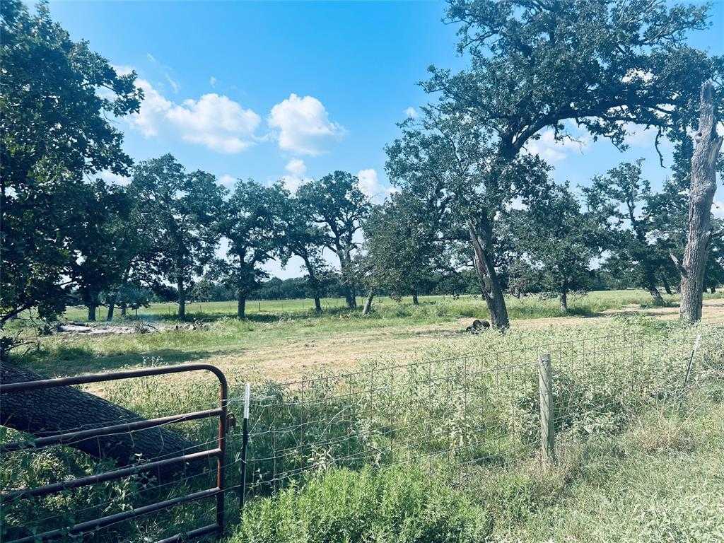 photo 3: Newsom Road, Bellville TX 77418