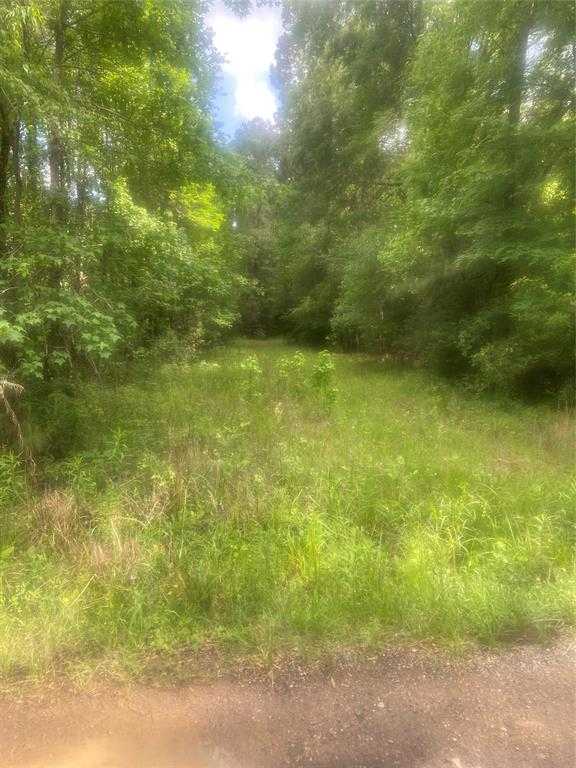 photo 1: 251 Pickens Loop, Livingston TX 77351