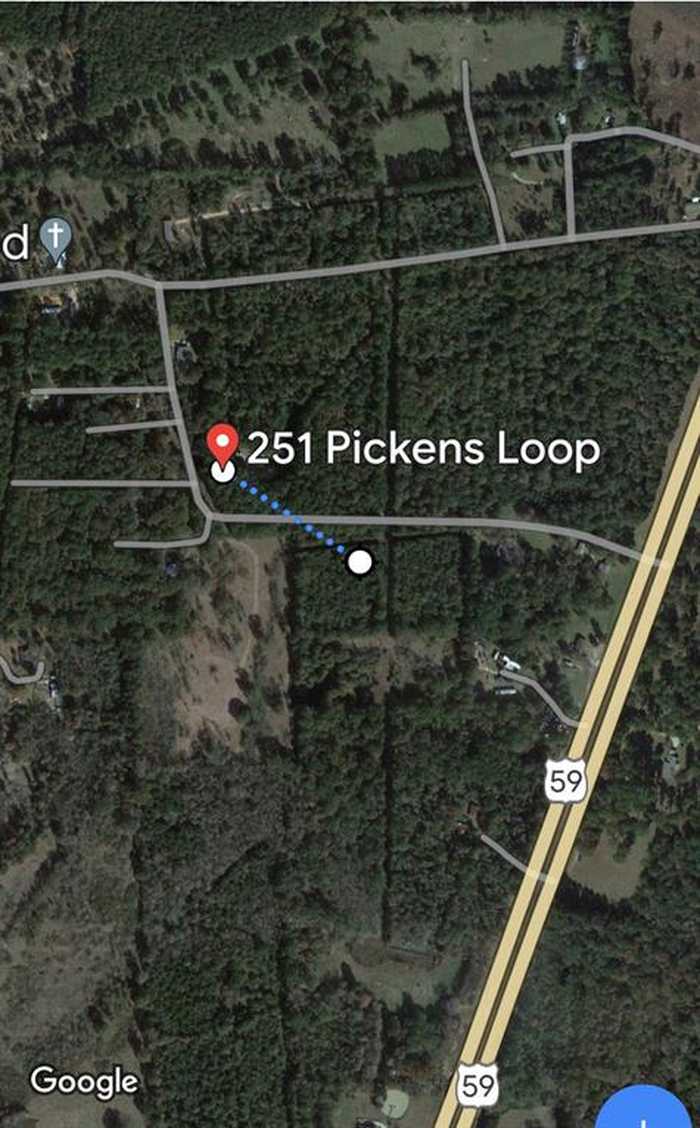 photo 9: 251 Pickens Loop, Livingston TX 77351