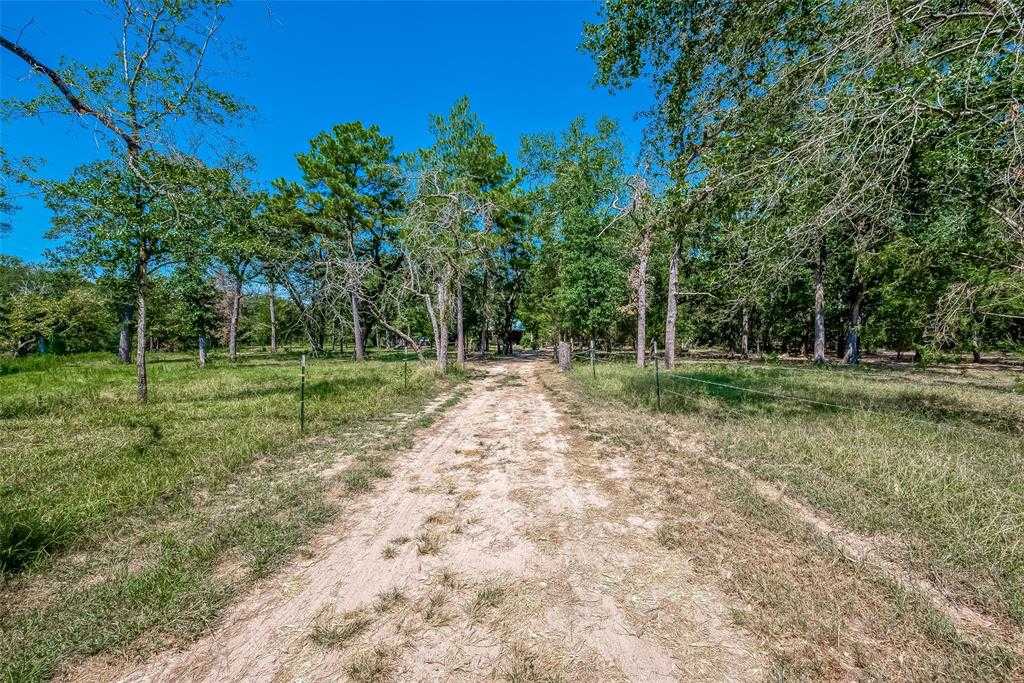 photo 3: 1794 Misty Hollow Lane, Bedias TX 77831