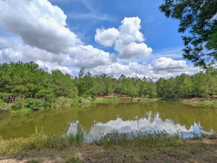 photo 2: State Hwy 19, Huntsville TX 77320