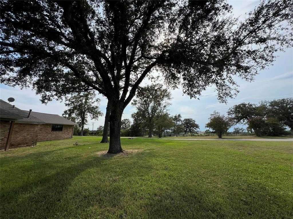 photo 3: 1746 Wendt Road, Bellville TX 77418