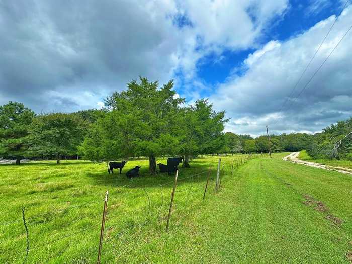 photo 1: 12078 CR 2481, Oakwood TX 75855