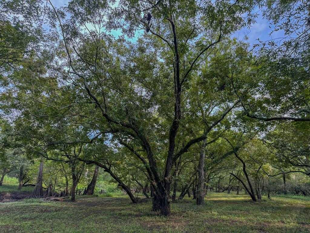 photo 3: Baldwin Drive, Hungerford TX 77448