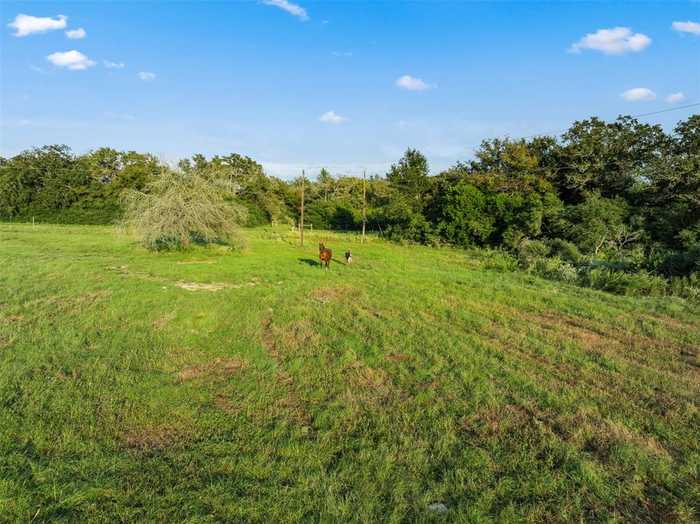 photo 50: 7380 County Road 2761, Buffalo TX 75831