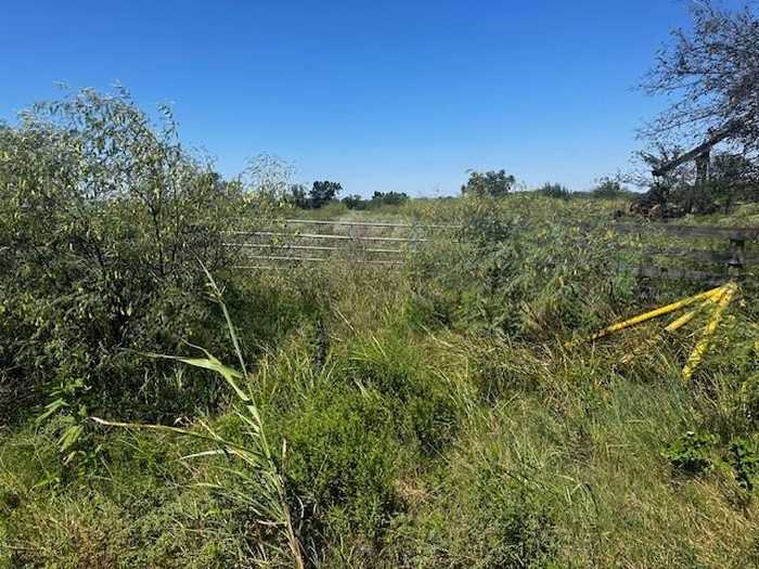 photo 2: 3399 Oil Field Road, Bellville TX 77418