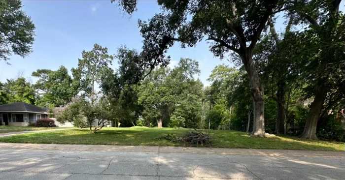 photo 1: 1231 Bay Oaks Road, Houston TX 77008