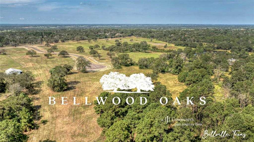 photo 2: 133 Bellwood Lake Lane, Bellville TX 77418