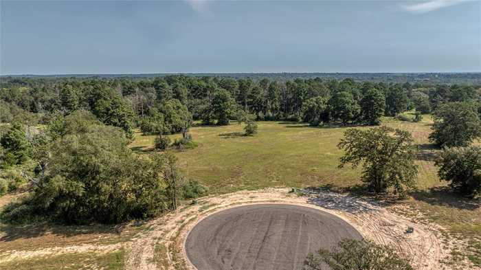 photo 1: 395 Oak Hill Lane, Bellville TX 77418