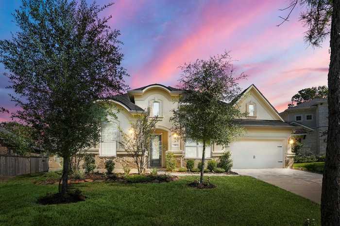 photo 1: 210 Lagarto Court, Pinehurst TX 77362