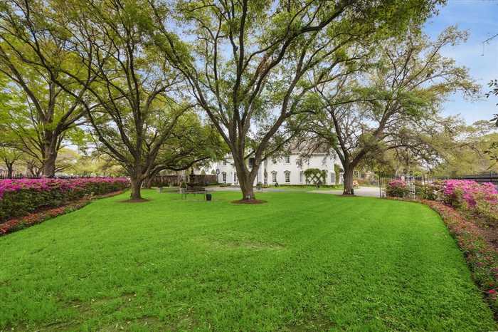 photo 2: 1561 Kirby Drive, Houston TX 77019