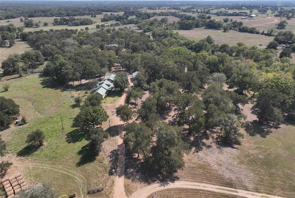 photo 2: 2161 Blue Hole Road, Bleiblerville TX 78931