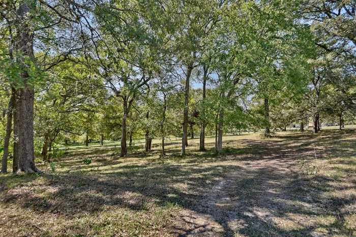 photo 50: 2161 Blue Hole Road, Bleiblerville TX 78931