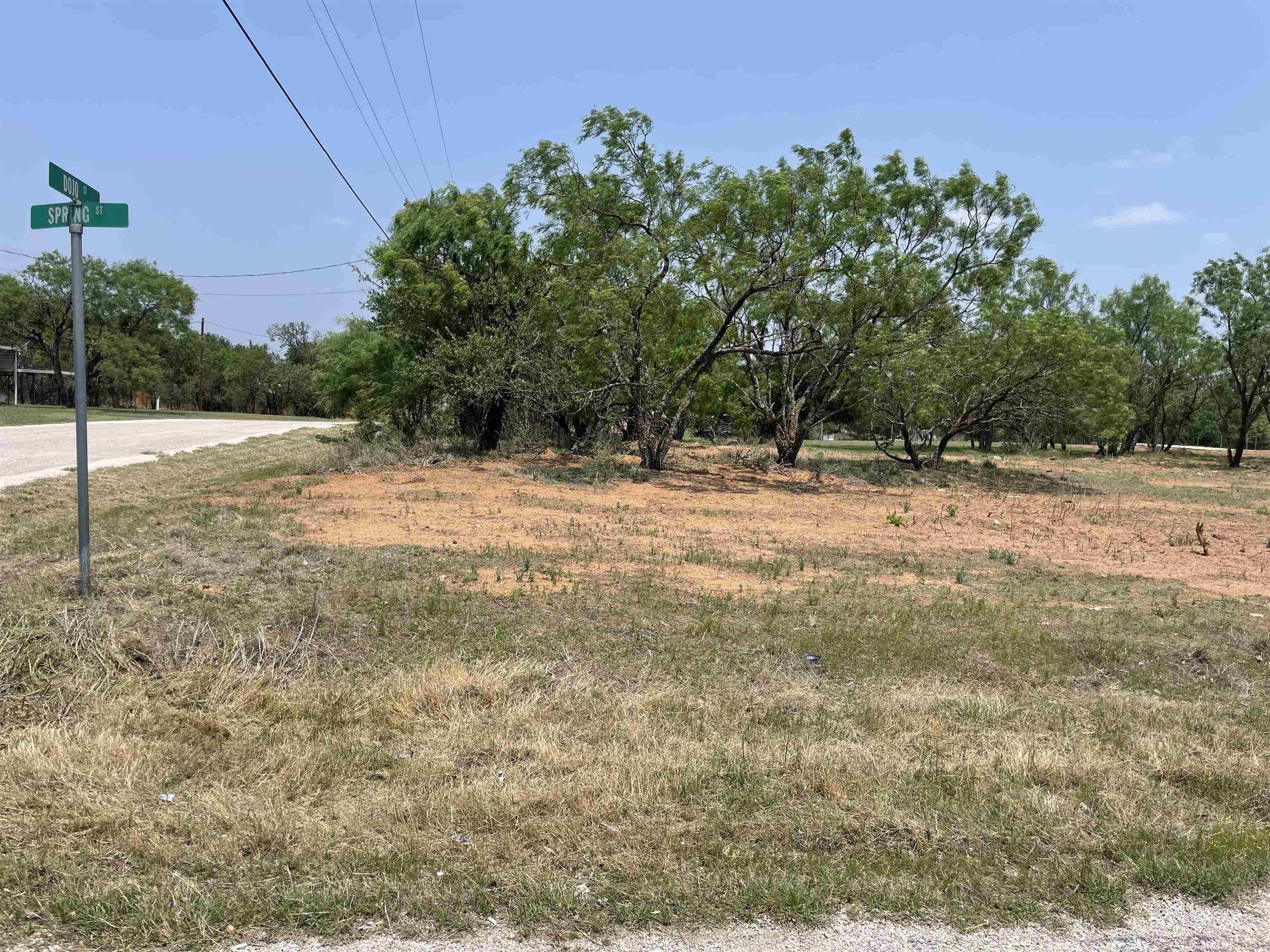 photo 2: Lot 501 & 502 Spring/Dojo Street, Tow TX 78672