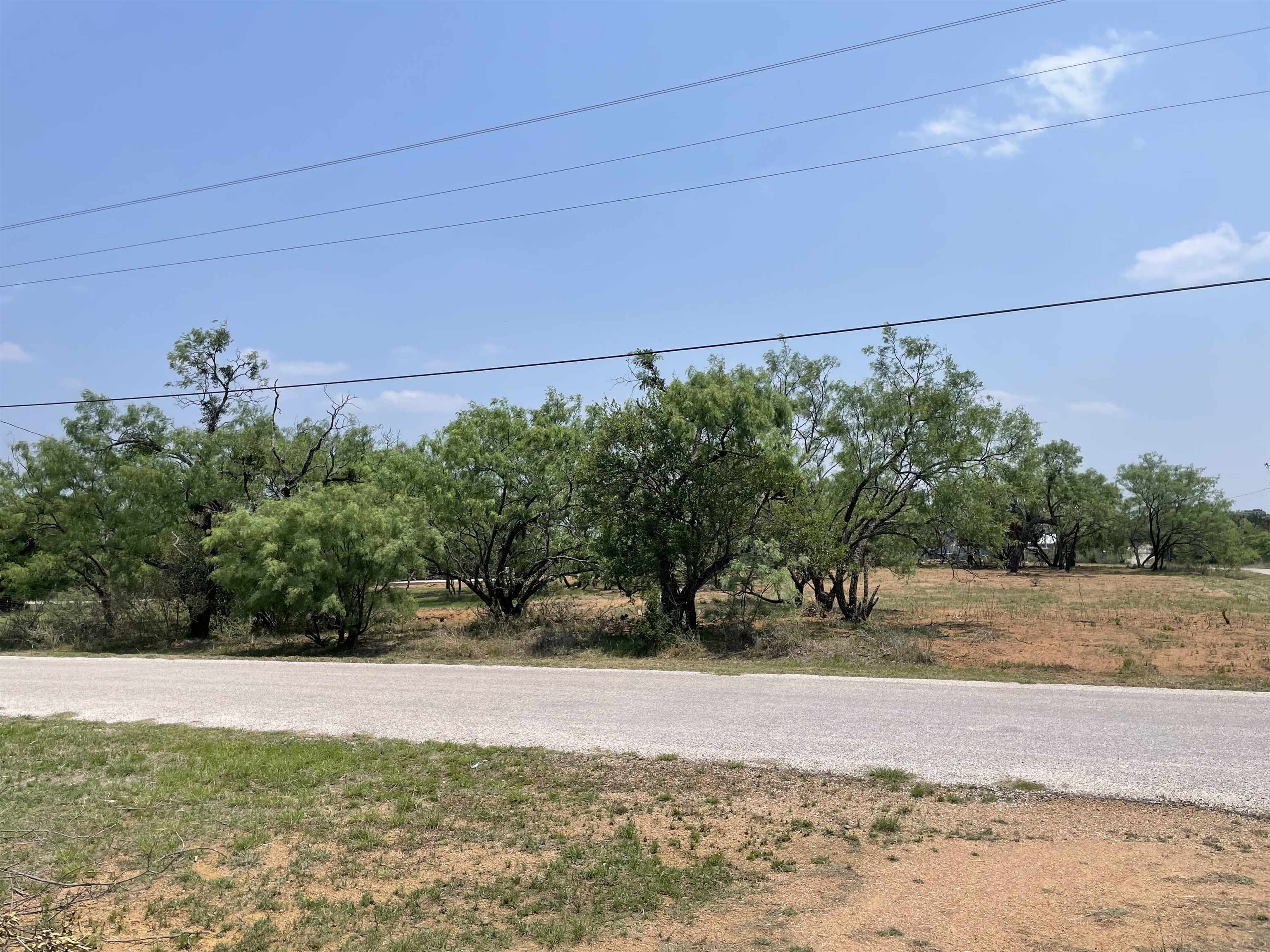 photo 3: Lot 501 & 502 Spring/Dojo Street, Tow TX 78672