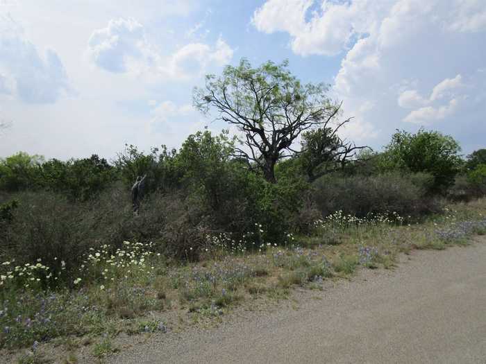 photo 1: 173 Desert Rose, Llano TX 78643