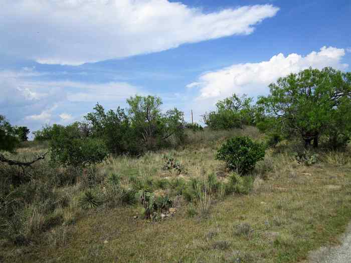 photo 2: 173 Desert Rose, Llano TX 78643