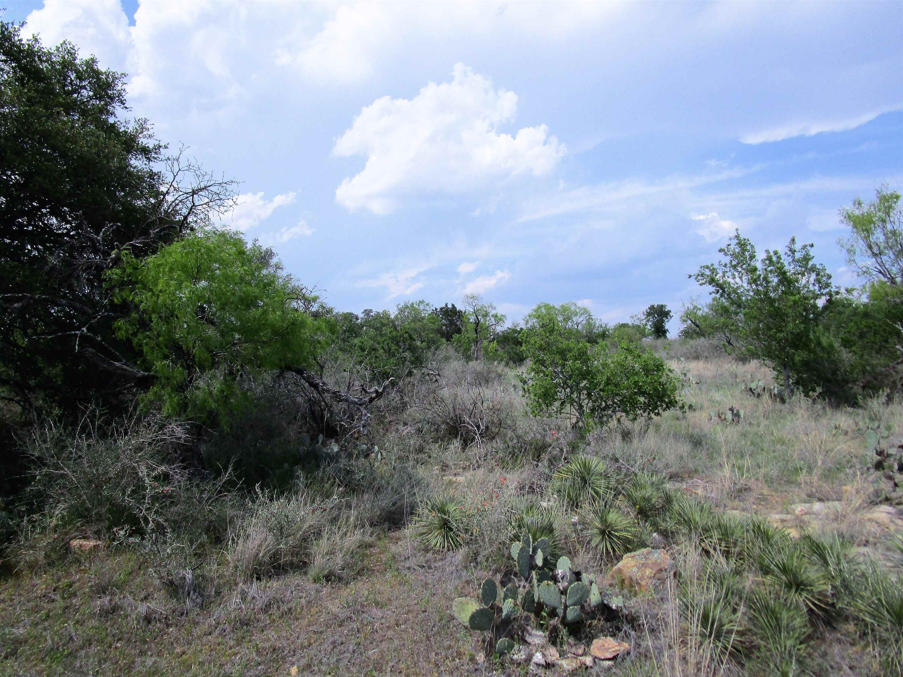 photo 3: 173 Desert Rose, Llano TX 78643