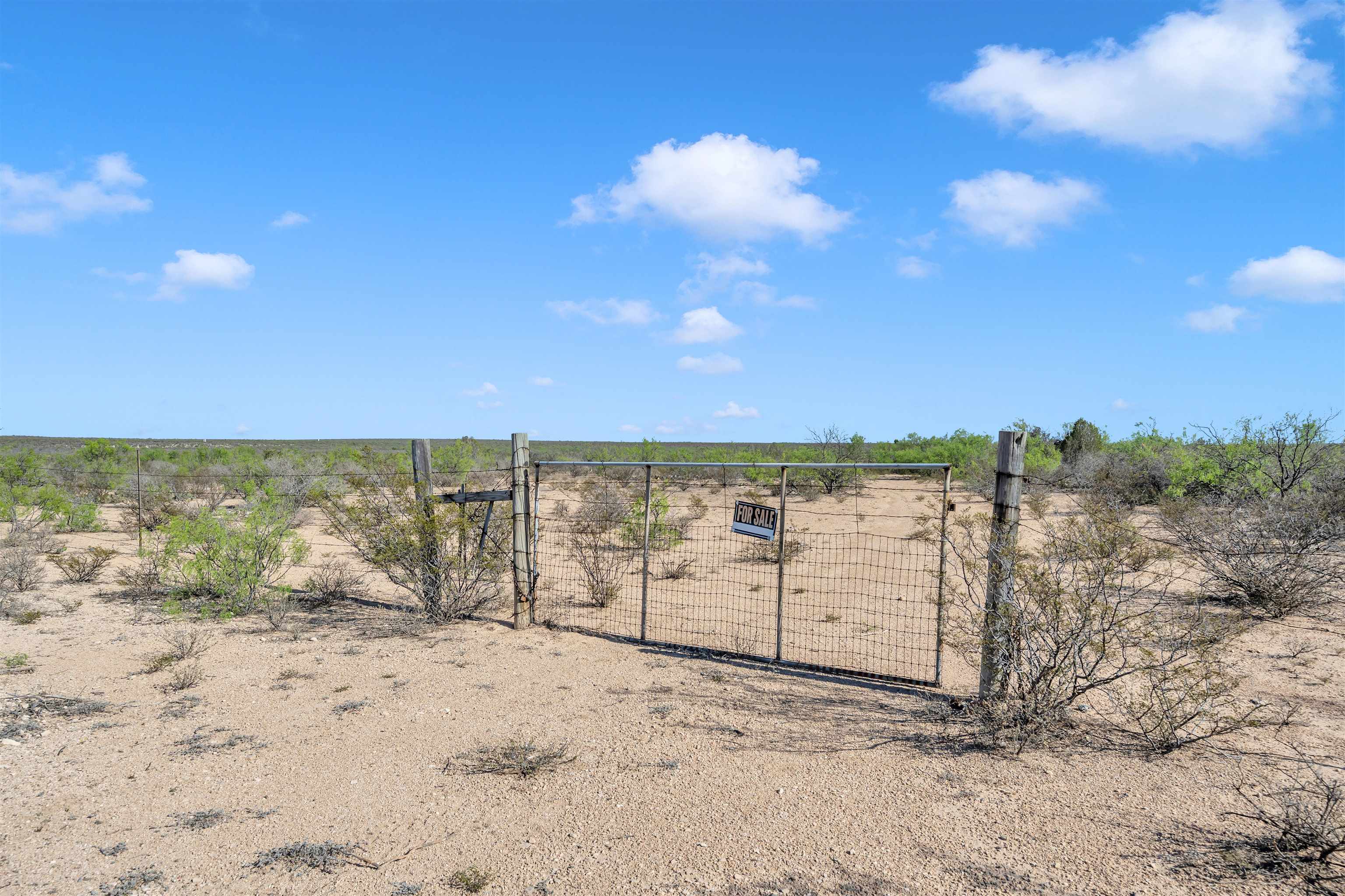 photo 3: TBD Peeble Road, Out of Area TX 78871