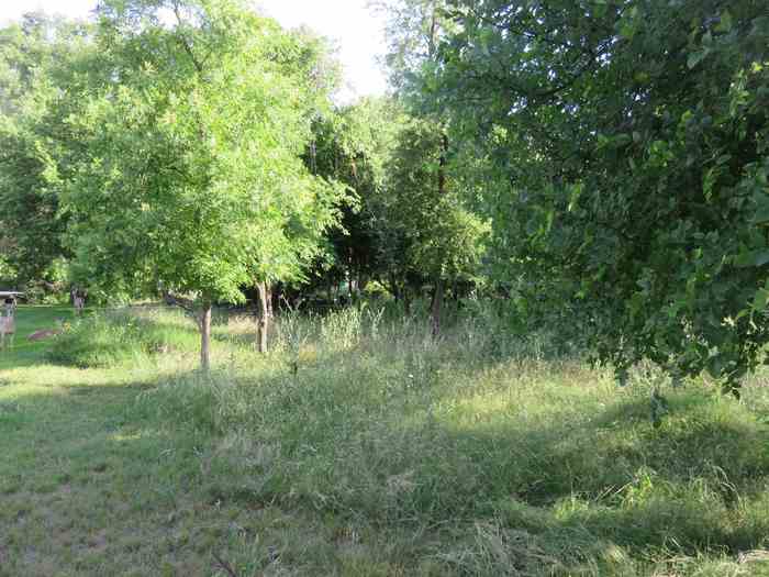 photo 2: Lot 145A Lakeview, Sunrise Beach TX 78643