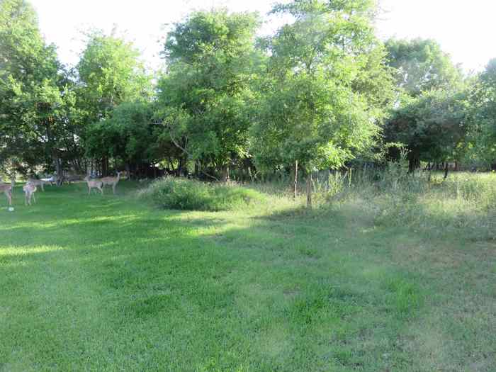 photo 8: Lot 145A Lakeview, Sunrise Beach TX 78643