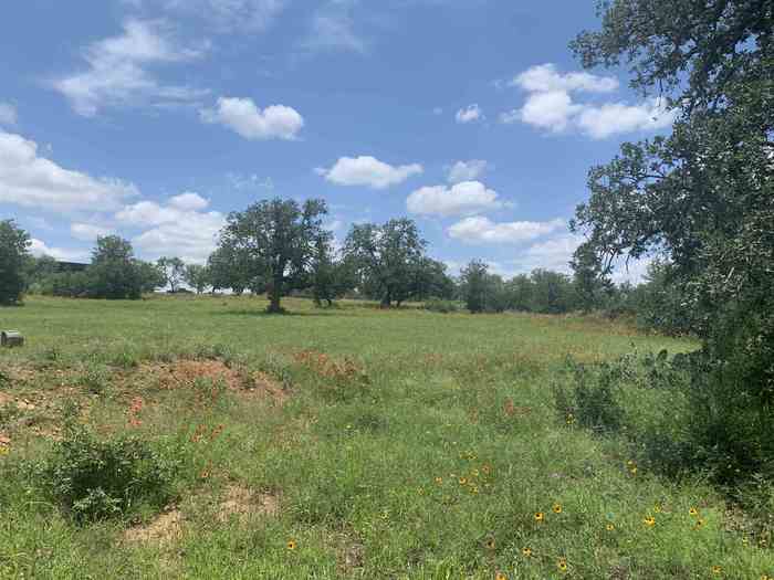 photo 30: 443 Wild Oaks Drive, Llano TX 78643