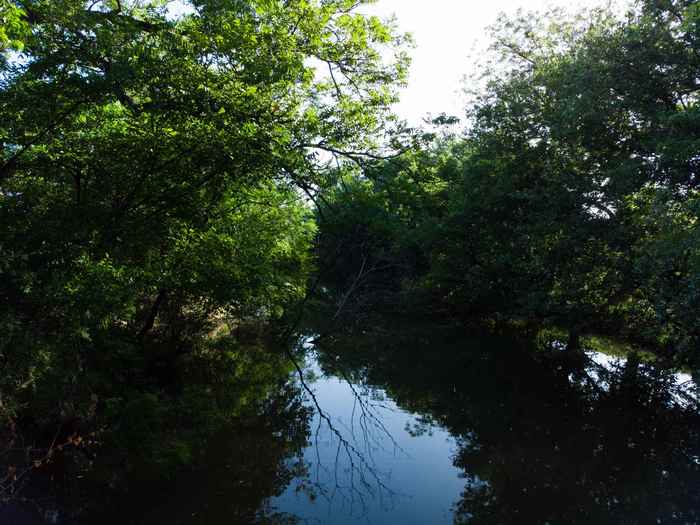 photo 30: 610 Flag Creek Drive Drive, Llano TX 78643