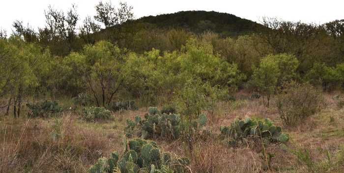 photo 29: RANCH ROAD 2241 TX, Tow TX 78672