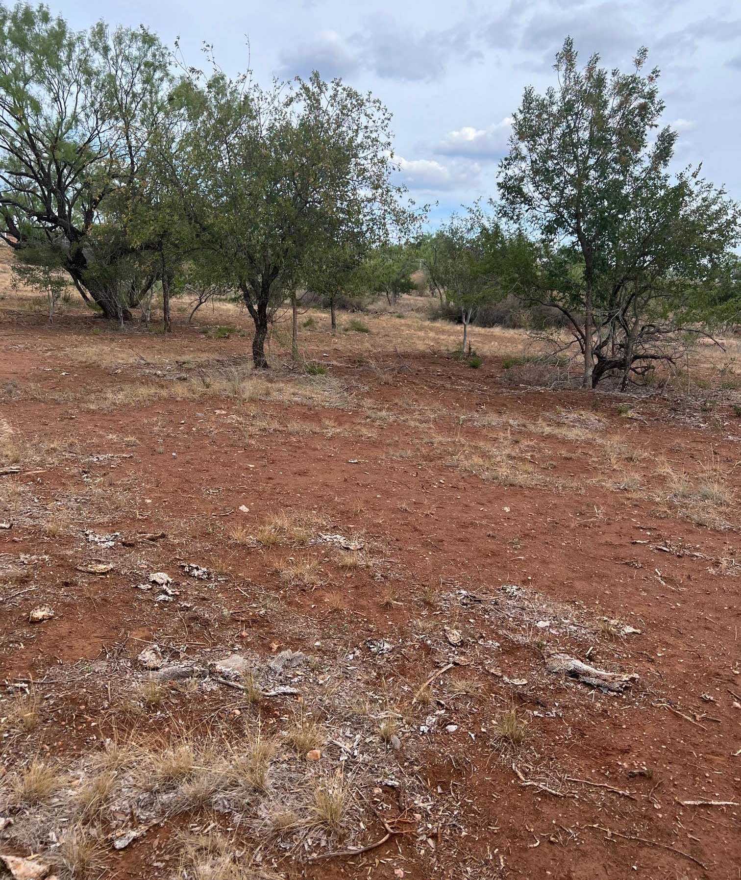 photo 3: TBD Old Six Mile Rd, Llano TX 78643