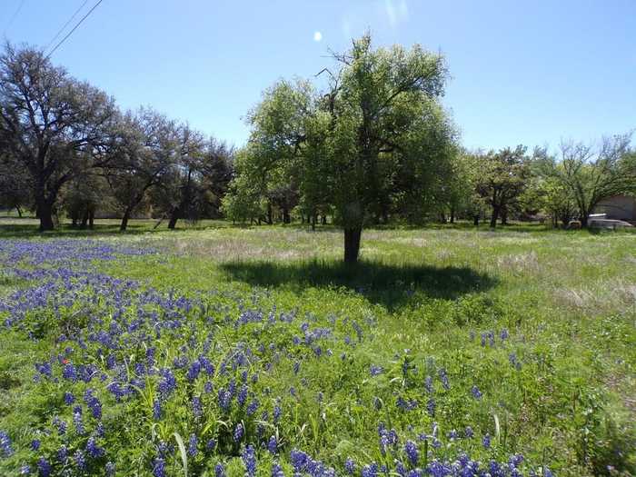 photo 2: 309 E Navarro, Llano TX 78643