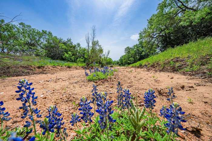 photo 2: 11995 N State Highway 16, Llano TX 78643