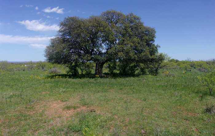 photo 1: 2698 CR 105, Castell TX 78643